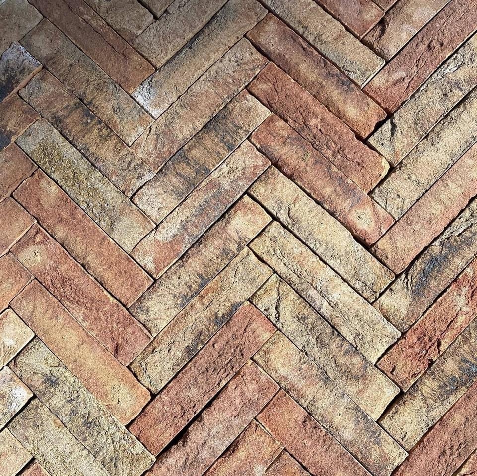 IMG_6598_compressed IMG_6598_compressed